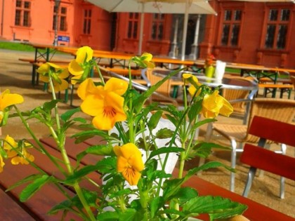 Фото: Schlossbiergarten im Kurf&amp;uuml;rstlichen Schloss Mainz